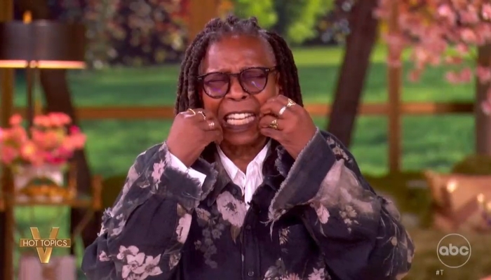 The View Seemingly Hint at Political Violence, Claim GOP to Steal Midterms