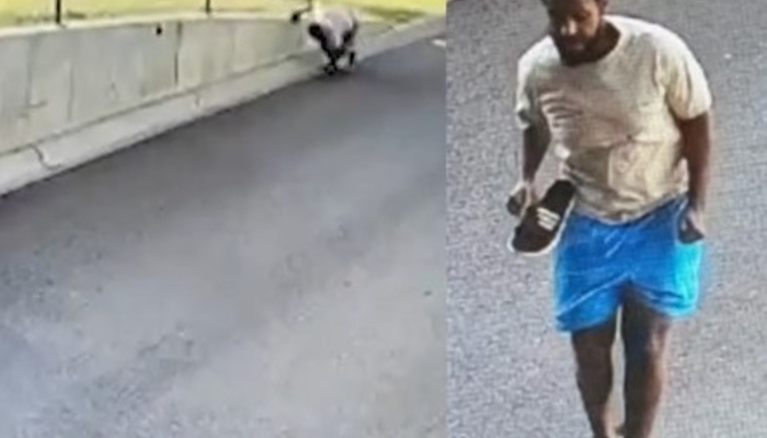 Minnesota Fraud Suspect Risks 4-Story Jump with 50% Survival Rate to Flee Arrest