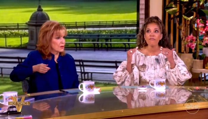Sunny Hostin, Joy Behar RAGE at Lindsey Graham's Sister for Senate Appointment