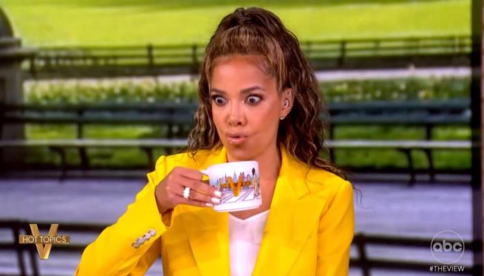 Sunny Hostin Spouts Off on Voter ID, Thinks Only 5 States Require It