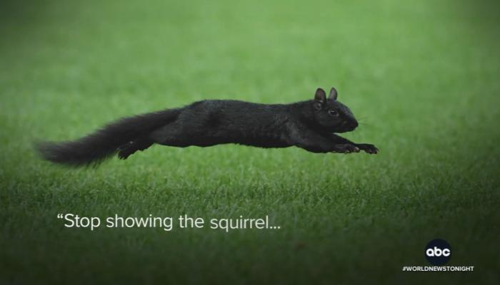 SQUIRREL! The Evening News is Still SILENT on Biden Tapes, Fauci Files