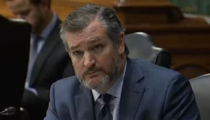 Sen. Cruz Shares Video of DSA Members' Threats: ‘This Is Today’s Democrat Party’