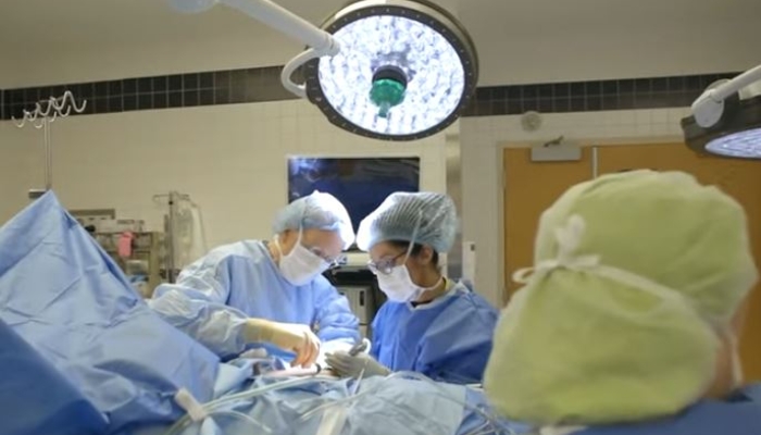 Florida Sues Transgender-Promoting Medical Groups for False, Misleading Claims