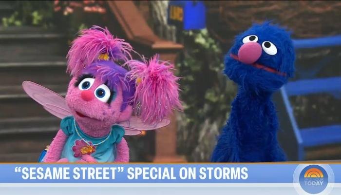 Flipping Big Bird Ny Times Gets Thrill Leg Over Sesame