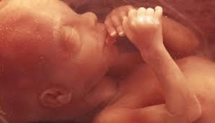 Even Democrat Massachusetts Lawmakers Call Abortion Until