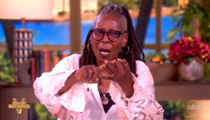 The View: Vote Democratic in Midterms or Everyone Will ‘Literally’ Die