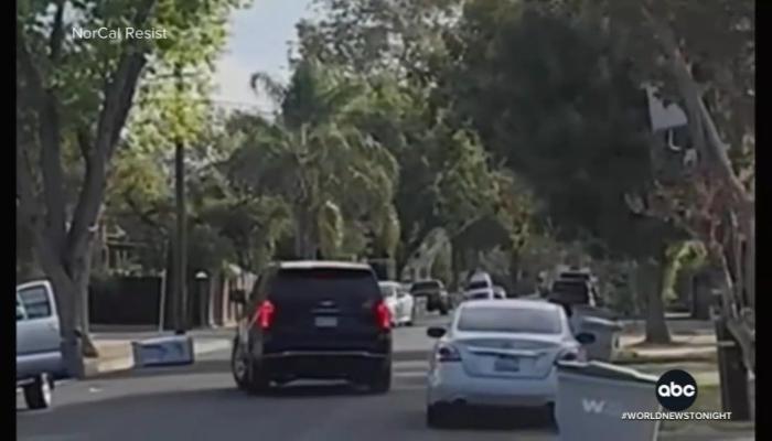 Willful Distortion Abc Misrepresents Another Ice Arrest